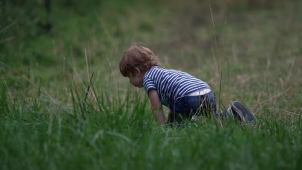 Niño Arrastrándose Hierba — Vídeo de stock