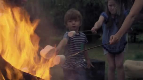女性と子供 キャンプファイヤーでマシュマロを焙煎 Dinton Wiltshire United Kingdom — ストック動画