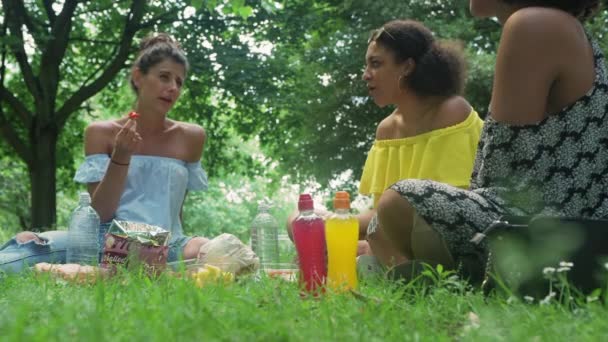 Vriendinnen Die Picknicken Het Park — Stockvideo