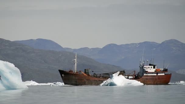 Rusty Boat Sailing Icebergs Close Narsaq South Greenland Greenland — Stock Video