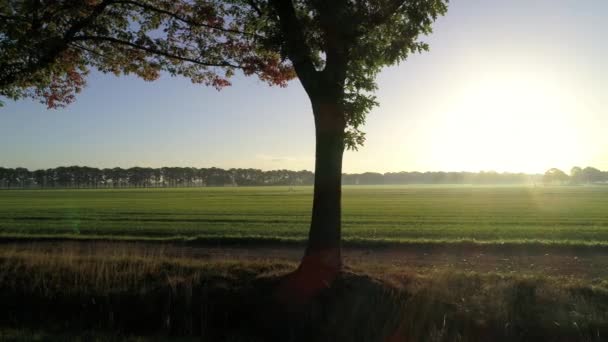 Paysage Rural Coucher Soleil Chaam Brabant Nord Pays Bas — Video