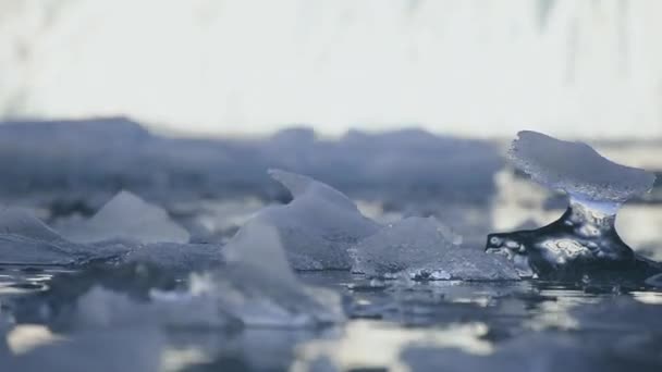 Куски Льда Плавающие Воде Южная Гренландия Гренландия — стоковое видео