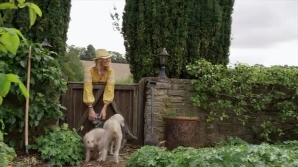 Γυναίκες Και Σκύλοι Στον Καλοκαιρινό Κήπο — Αρχείο Βίντεο
