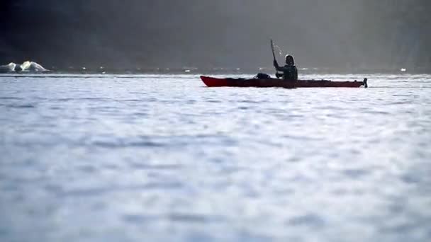 Vrouw Zeekajakken Voor Gletsjer Van Qualerallit Zuid Groenland Groenland — Stockvideo