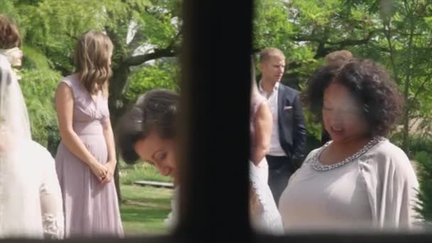 윌트셔에 밖에서 결혼식을 올리는 부부들 — 비디오