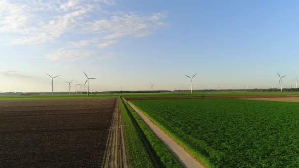 Paisaje Rural Con Aerogeneradores Swifterbant Flevoland Países Bajos — Vídeos de Stock