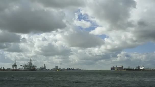 Tweede Maasvlakte Trafik Rotterdam Limanının Yeni Bir Bölümü Rotterdam Zuid — Stok video