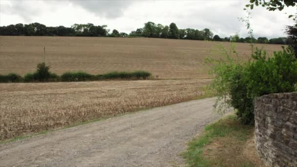 Çocuk Dinton Wiltshire Ngiltere Toprak Yolunda Yeni Evlilerle Bisiklet Sürüyor — Stok video