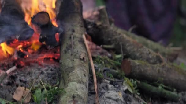 Två Kvinnor Som Sitter Vid Lägerelden Och Pratar — Stockvideo