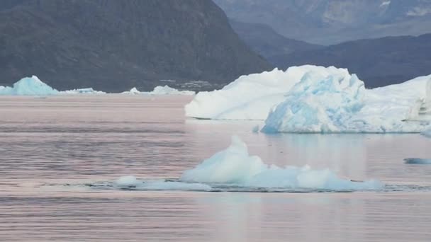 Айсберг Плаває Фьорд Біля Narsaq Південна Ґренландія Гренландія — стокове відео