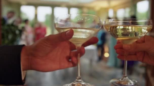 Newlyweds Toasting Guests Wedding Reception Dinton Wiltshire Reino Unido — Vídeo de Stock