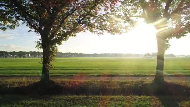 チャアムの夕暮らしの田舎の風景 ノールド ブラバント オランダ — ストック動画