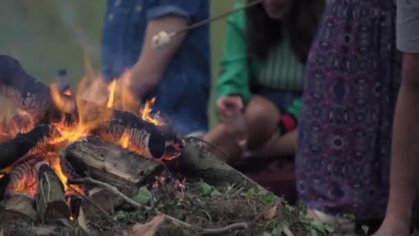 朋友们在联合王国威尔特郡丁顿篝火中烤棉花糖 — 图库视频影像