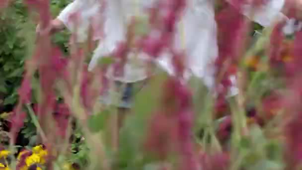 Twee Vrouwen Die Zomertuin Werken — Stockvideo