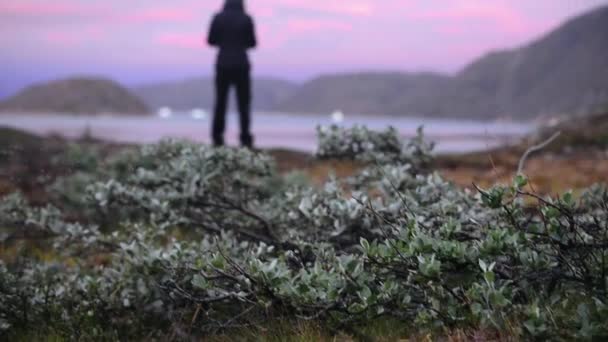 Mujer Pie Junto Fiordo Atardecer Narsaq Groenlandia Del Sur Groenlandia — Vídeos de Stock