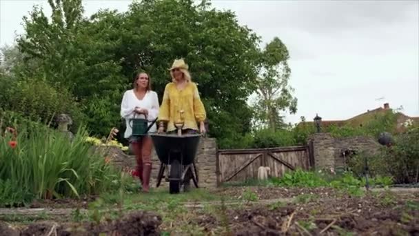 女性は庭で車椅子で歩く — ストック動画