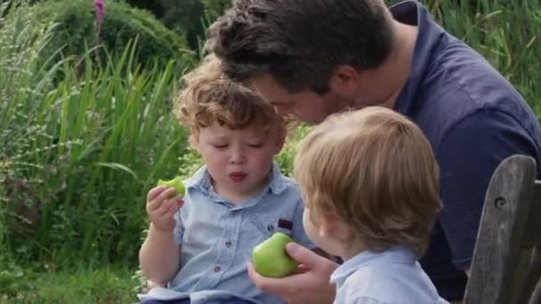 父と息子はベンチに座ってリンゴを食べている — ストック動画
