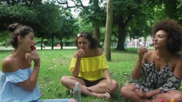公園でピクニック中にイチゴを食べる女性の友人 — ストック動画