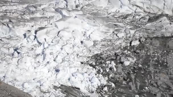 Kudde Meeuwen Vliegen Voorkant Van Qualerallit Glacier Zuid Groenland Groenland — Stockvideo