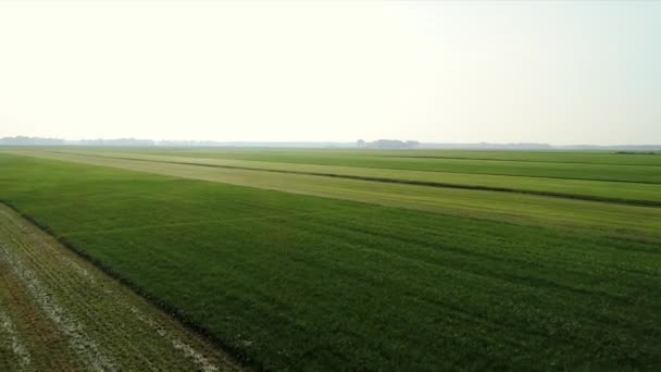 Luchtfoto Van Groene Landschap — Stockvideo