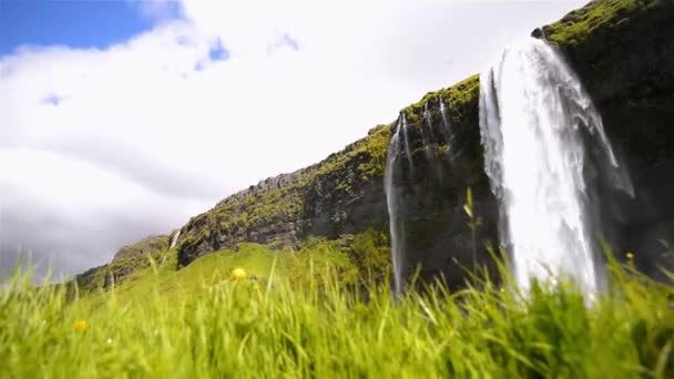 Травянистый Пейзаж Водопадом Seljalandsfoss Seljalandsfoss Исландия — стоковое видео