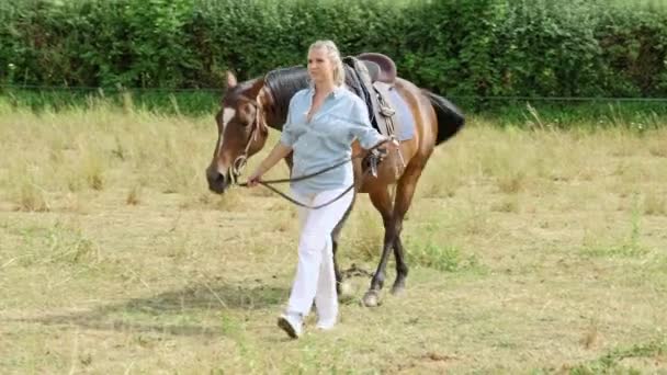 パドックで馬と一緒に歩く若い女性 — ストック動画