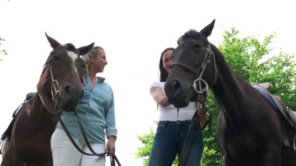 Frauen Streicheln Pferde Und Reden — Stockvideo