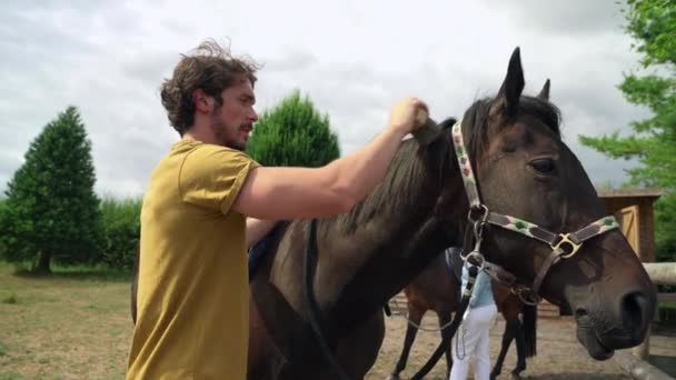 Junger Mann Bürstet Pferd — Stockvideo