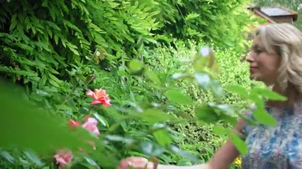 成熟的女人在花园里闻玫瑰 — 图库视频影像