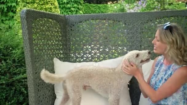 Mujer Madura Sentada Silla Aire Libre Acariciando Perro — Vídeo de stock