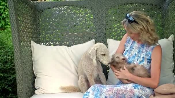 Mujer Madura Sentada Silla Aire Libre Acariciando Perros — Vídeos de Stock