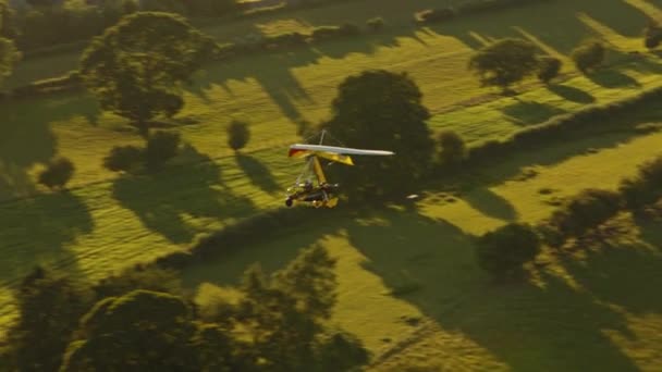 Pégaso Microluz Quântica Voando Sobre Campo Pôr Sol — Vídeo de Stock