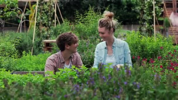 Pareja Joven Trabajando Jardín Urbano — Vídeo de stock