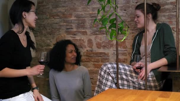 Amigos Sexo Feminino Beber Vinho Falar — Vídeo de Stock