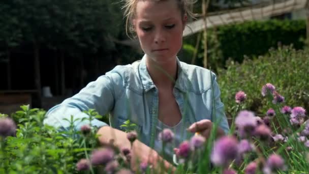 Young Woman Working Urban Garden — Stock Video