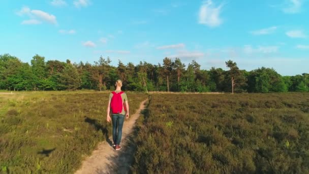 Ormana Giden Toprak Yolda Yürüyen Çocuk — Stok video