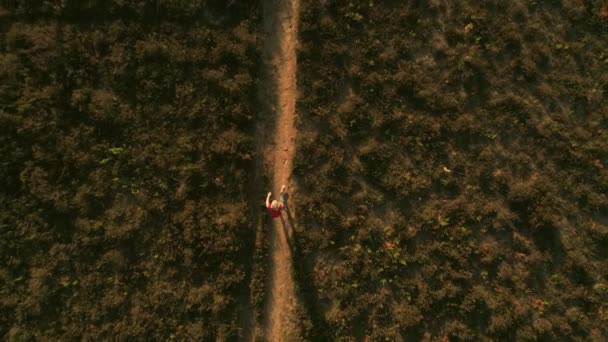 Вид Воздуха Мальчика Идущего Грунтовой Дороге — стоковое видео