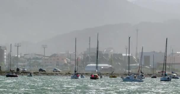 Łodzie Żaglowe Zakotwiczone Porcie Ushuaia Argentyna — Wideo stockowe