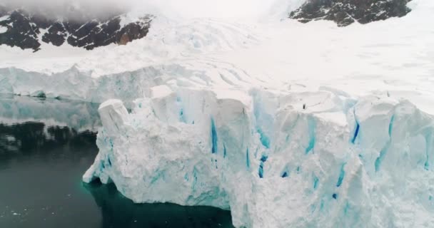 Glaciärfronten Neko Hamn Antarktiska Halvön Antarktis — Stockvideo