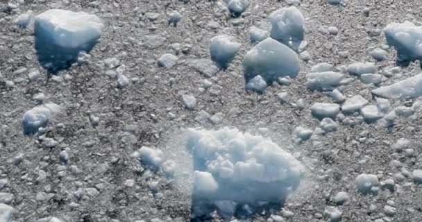 Ghiaccio Sfacciato Hope Bay Penisola Antartica Antartide — Video Stock