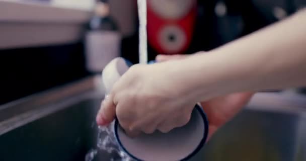 Manos Mujer Lavando Taza Fregadero Cocina — Vídeos de Stock