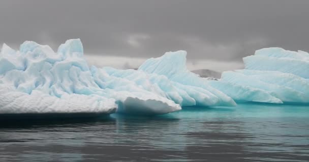 Icebergs Perto Cuverville Island Antártida — Vídeo de Stock