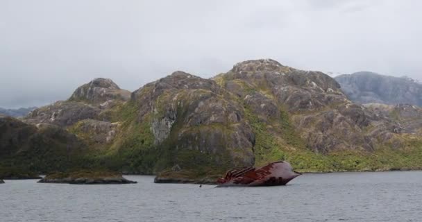 Schiffbruch Von Santa Leonor Smyth Channel Patagonien Chile — Stockvideo