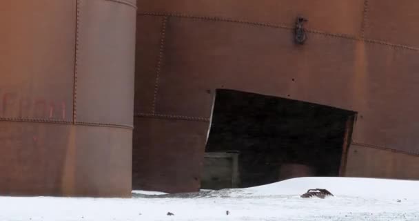 눈오는 디셉션 고래잡이 기지입니다 — 비디오