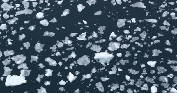 猫港のブラシアイス 南極半島 — ストック動画