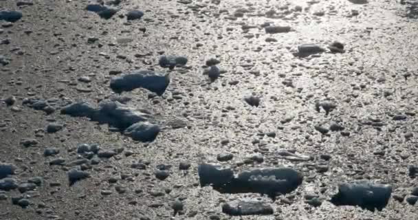 Eisglätte Hope Bay Antarktische Halbinsel Antarktis — Stockvideo