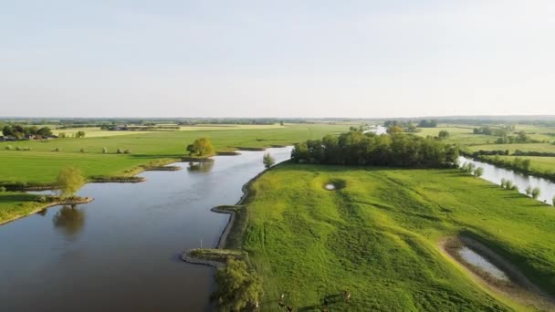 Campo Verde Río Brummen Güeldres Países Bajos — Vídeo de stock