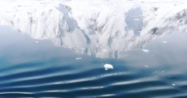 雪に覆われた山ダムポイントで水に反映されます 南極半島 — ストック動画