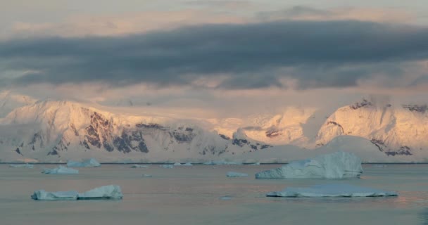 Snow Covered Mountains Icebergs Water Neko Harbor Antarctic Peninsula Antarctica — Stock Video