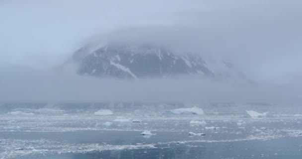 Niebla Sobre Neko Harbor Cubierta Témpanos Hielo Península Antártica Antártida — Vídeos de Stock